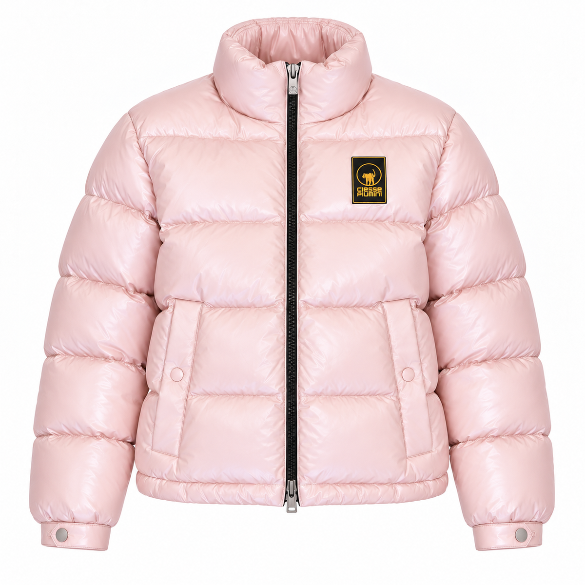 263PCWJ23203 ROSA DONNA principale